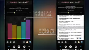 古典音乐大师作品精选集：世界经典名曲系列 1 2 3 卷截图2
