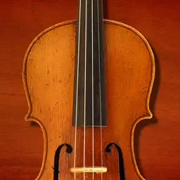 小提琴伴侣