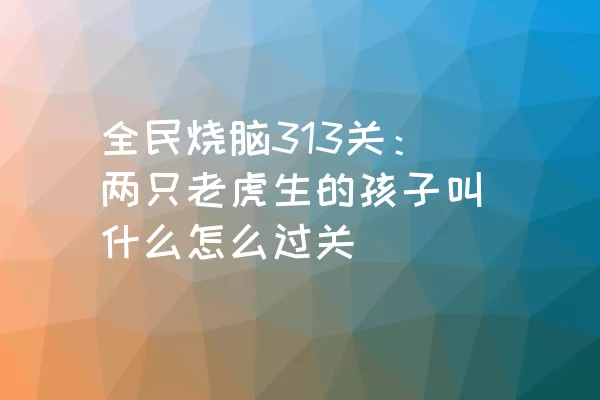 全民烧脑313关：两只老虎生的孩子叫什么怎么过关