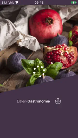 Bayer Gastronomie截图2