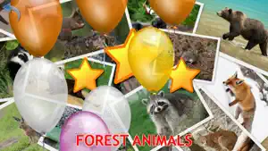 Animals for Kids, toddler game截图8