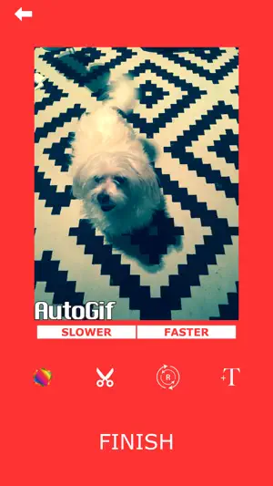 AutoGif 一触GIF创造者截图6