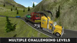 Heavy Truck Transport Game 3d截图1