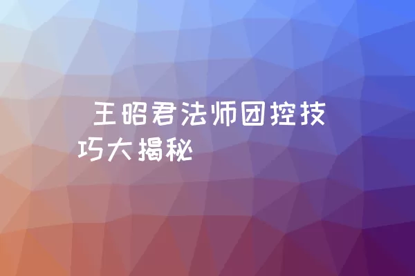  王昭君法师团控技巧大揭秘