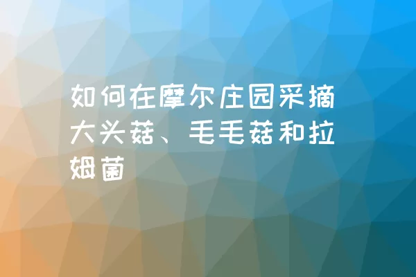 如何在摩尔庄园采摘大头菇、毛毛菇和拉姆菌